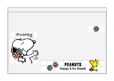 マイナンバーカードケース